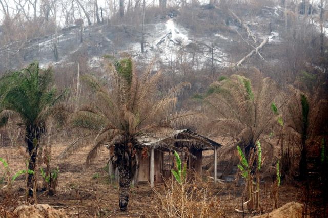 Comunidades Enteras Evacuan Ante El Peligro De Los Incendios En Bolivia