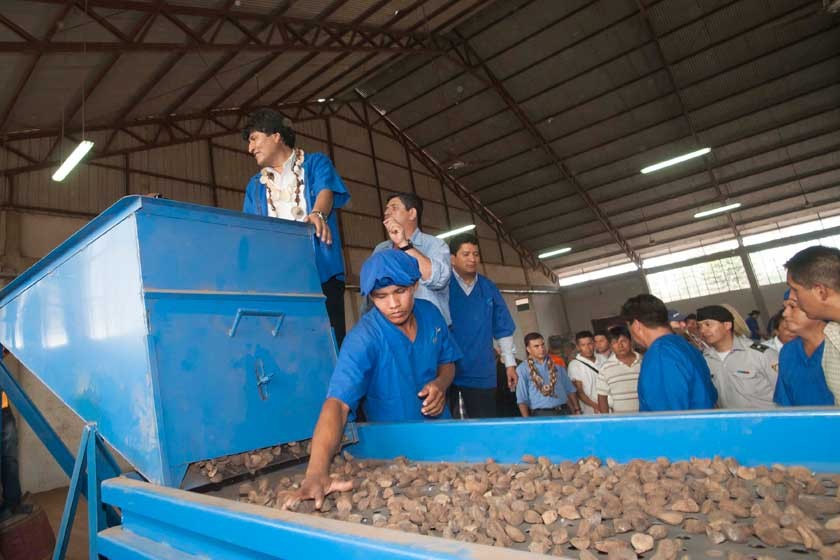 Abren en Pando planta estatal de castaña