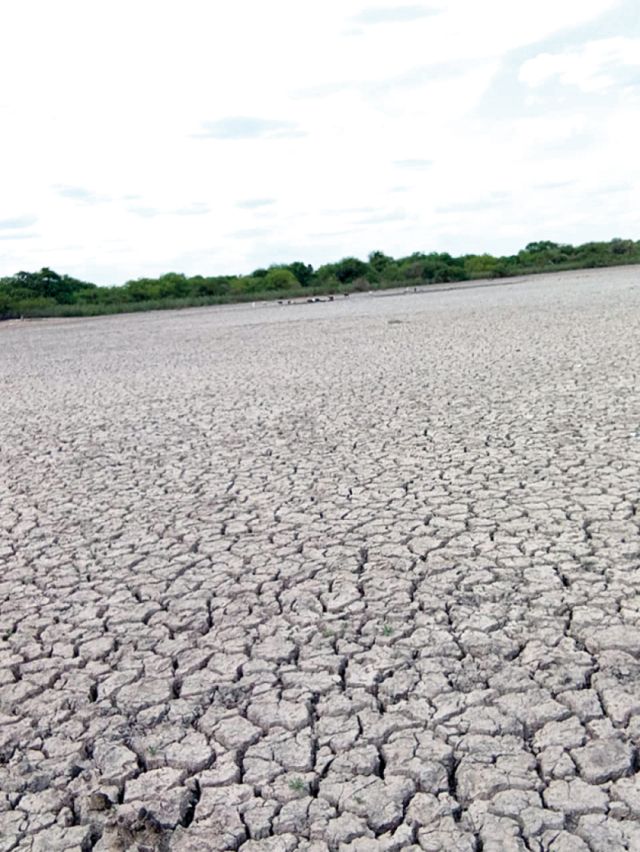 Chuquisaca sufre embate de las heladas y la sequía