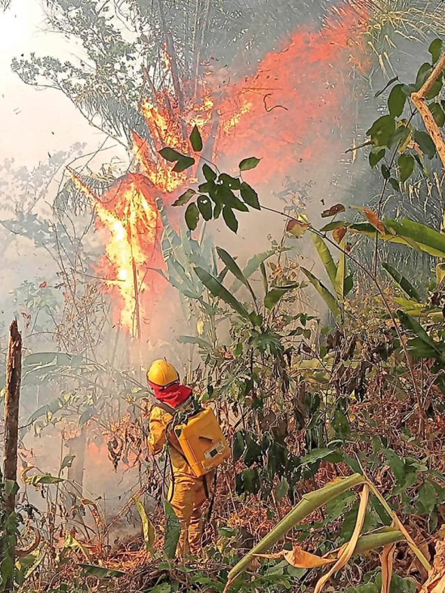 Los Incendios No Dan Tregua En Cuatro Departamentos