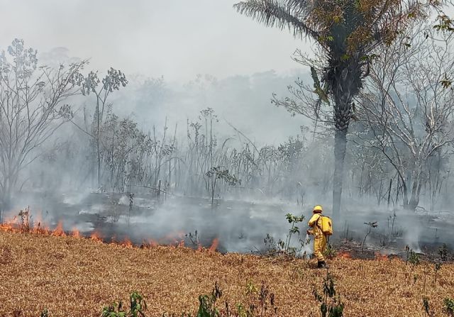 Bolivia ocupa el segundo lugar entre los países con más focos de calor ...