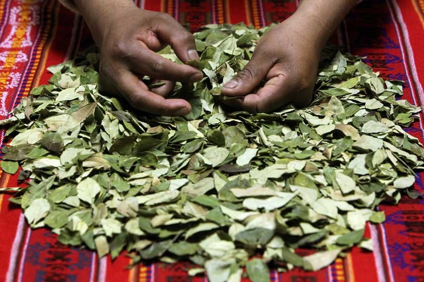 La inclusión de la medicina tradicional busca ser una muestra de interacción intercultural en el ámbito de la salud.