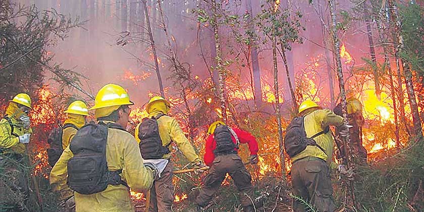 Chile declara alerta roja por incendios forestales