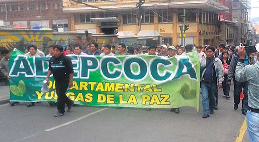 Los cocaleros de Yungas  entregan pliego; ven olvido