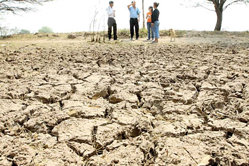 SEQUÍA. Miles de hectáreas de cultivos sufren este desastre natural en Chuquisaca.
