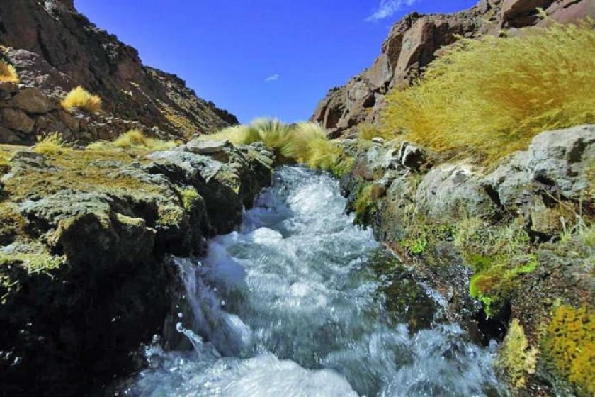 Las aguas del Silala estarán en disputa en La Haya entre Chile y Bolivia. Foto: Archivo