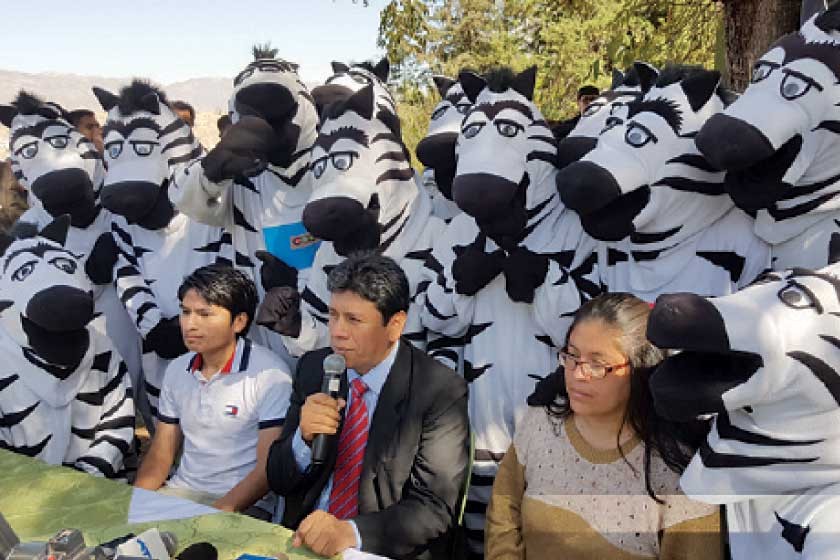 ACUERDO. Las cebras se reunieron con el Alcalde y acordaron mantener la organización y filosofía de trabajo