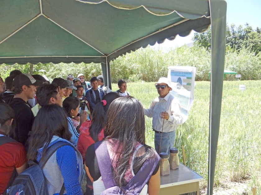 JORNADA. El Día demostrativo de campo de Proinpa en la localidad de La Compuerta.