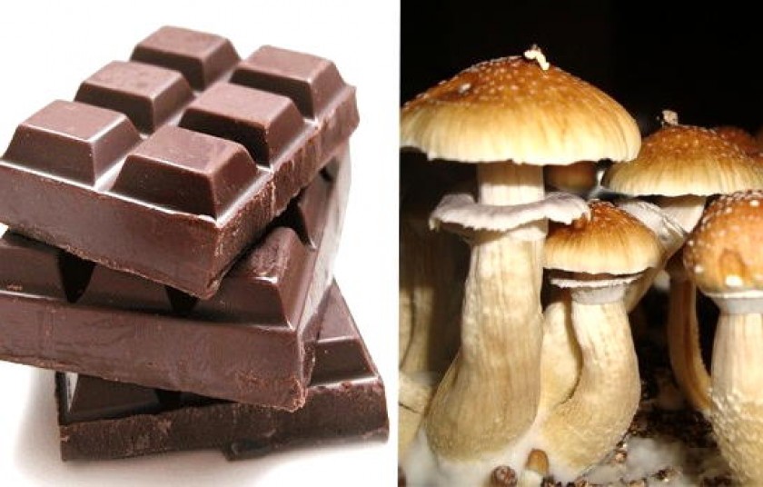 Los chocolates se hacían en base al hongo llamado cucumelo. Foto: Erbol