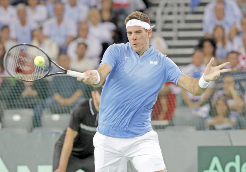 Juan Martín del Potro, la apuesta argentina, consiguió el empate parcial en la final de la Copa Davis.