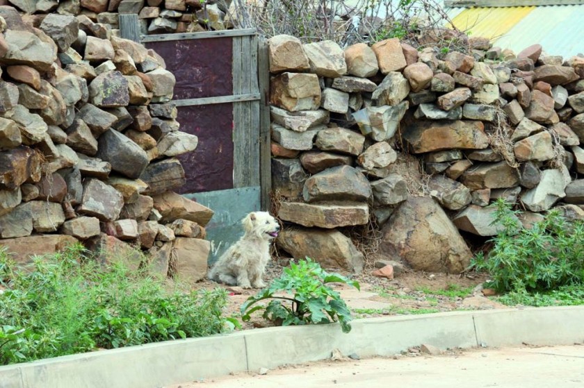 IMAGEN. Algunas de las casas conservan todavía estructuras de la zona rural.
