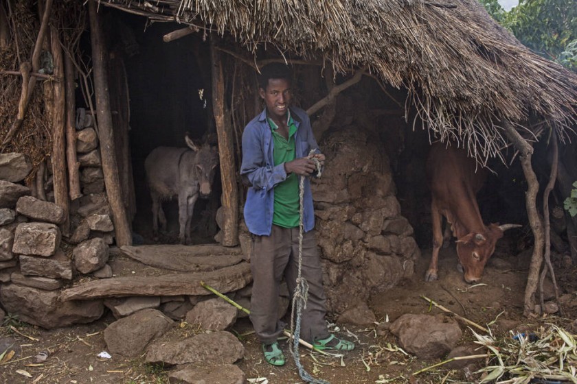 Tadesse, el marido de 22 años de Abaynesh, posa en la puerta de uno de los establos donde guardan los animales en su...