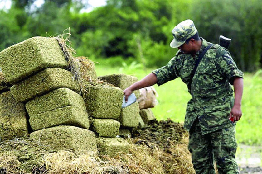REPORTE. El informe anual de EEUU responsabiliza a varios países del sur de producir droga.