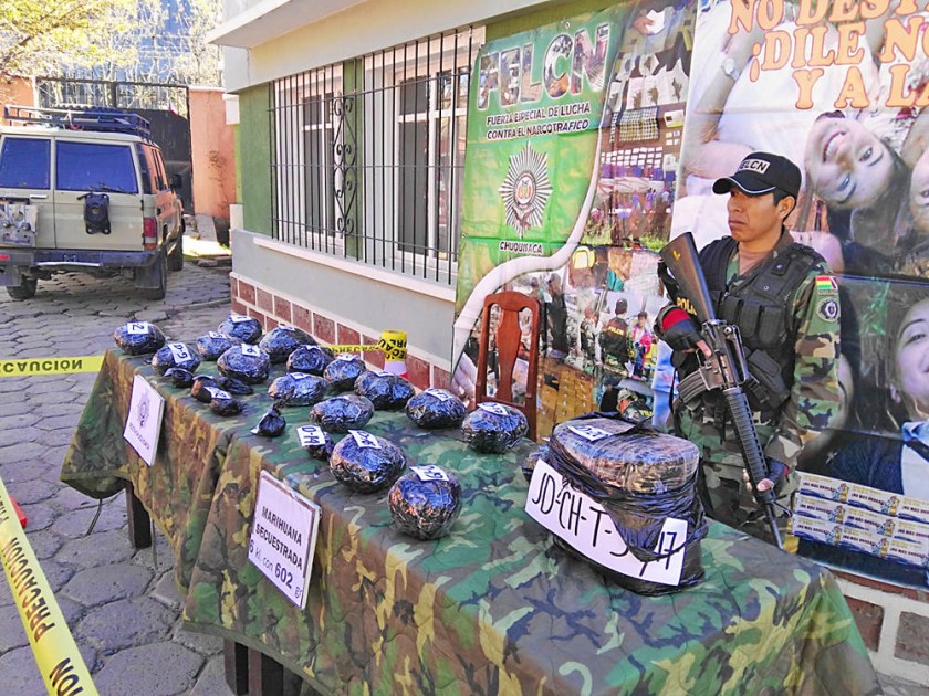 EXPOSICIÓN. Una sola persona tenía en su poder esta cantidad de marihuana.