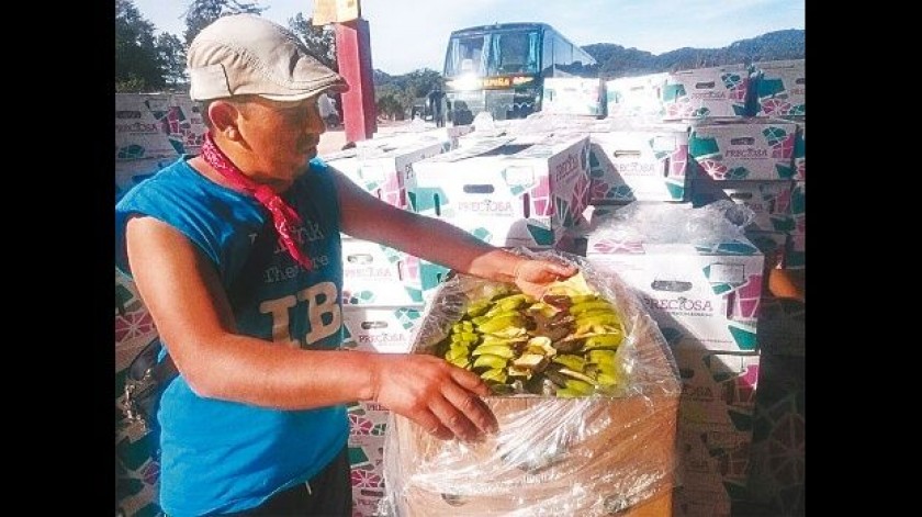 Los transportistas mostraron sus cargas de fruta afectadas por el bloqueo en la frontera con Argentina. FOTO: El Deber