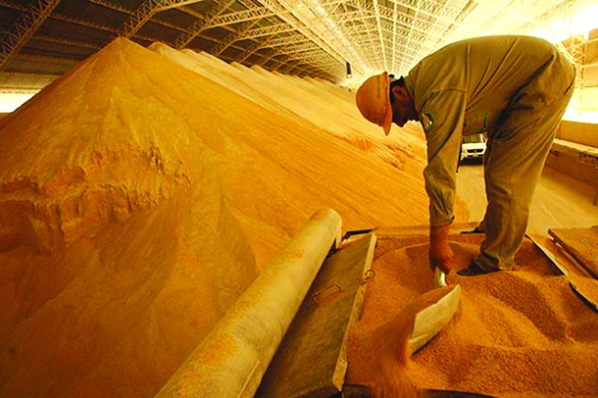 VENTAS. Soya boliviana de exportación.