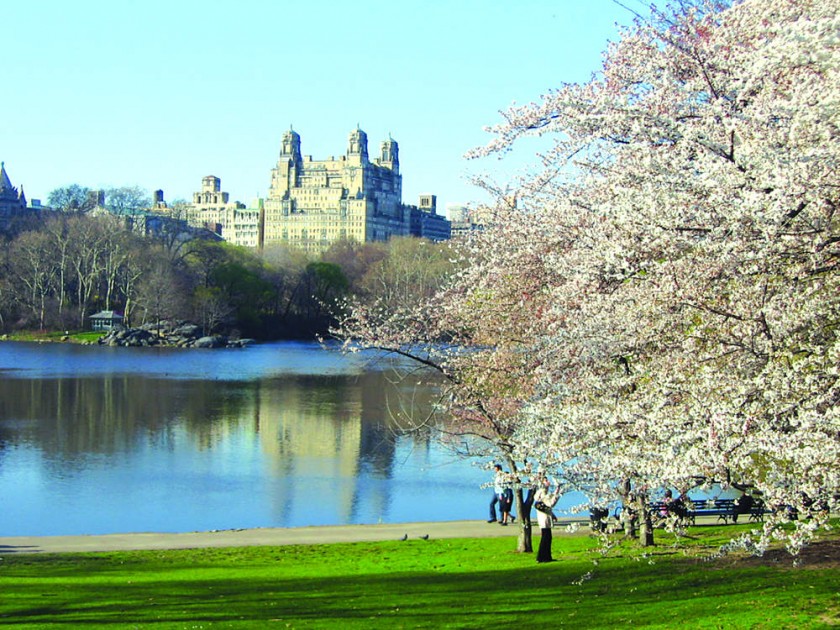 EMBLEMÁTICO. El Central Park de Nueva York es uno de los pulmones verdes de la gran ciudad. Vista de El Lago con el...