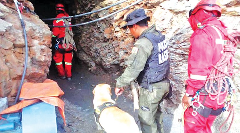 OPERATIVO. La Policía hizo un rastrillaje con sus canes en la mina donde supuestamente fue sacrificado el niño Jhoel Con