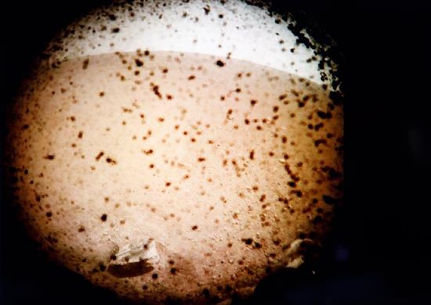 La primera imagen tomada desde el módulo espacial InSight tras su exitoso aterrizaje en Marte. FOTO: EFE
