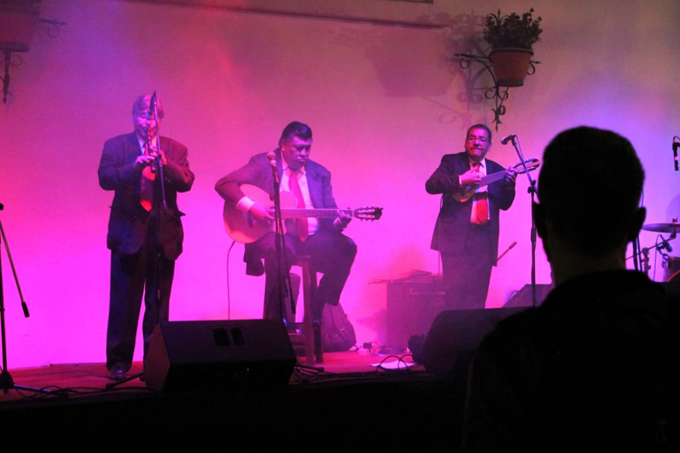 PRESENTACIÓN. Elencos circenses, grupos de música, exposición pictórica y baile deleitaron  al público. 