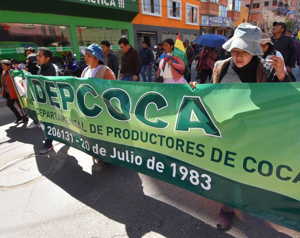 Los cocaleros vienen realizando marchas desde el lunes frente a las oficinas de Digcoin.