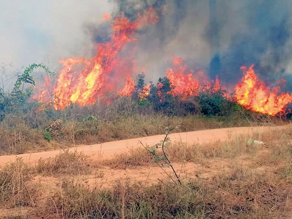 DESASTRE. Una imagen del 21 de agosto, cedida por la Brigada Municipal de Porto Velho que muestra uno de los incendios que azotan la Amazonía brasileña.