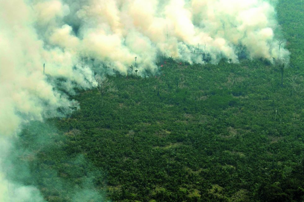 INCENDIOS. Vista aérea de varias columnas de humo fotografiadas ayer en la selva amazónica de Porto Velho; abajo, una protesta en Brasil.
