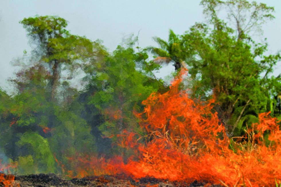 INCENDIOS. El fuego continúa expandiéndose por la Amazonía brasileña, donde ayer comenzaron a trabajar miles de militares.