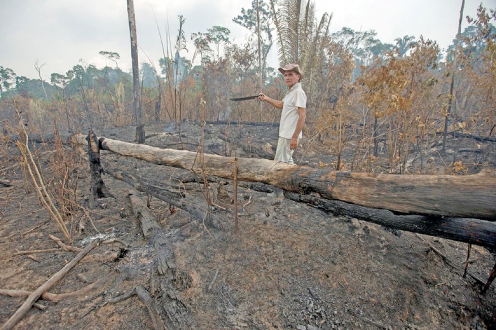 DEVASTACIÓN. Un ganadero muestra la destrucción que dejó en su hacienda uno de los incendios que golpea la Amazonía brasileña.