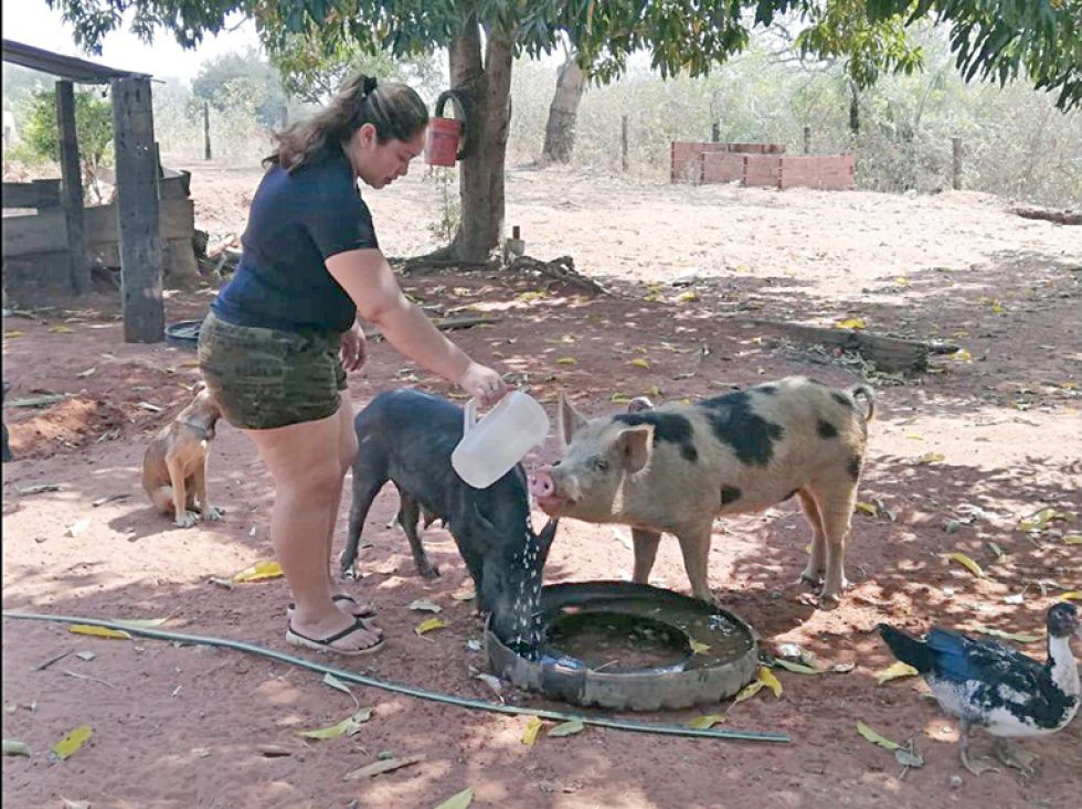Caridad. Los comunarios dan de comer y beber a los animales que se salvaron de los incendios.