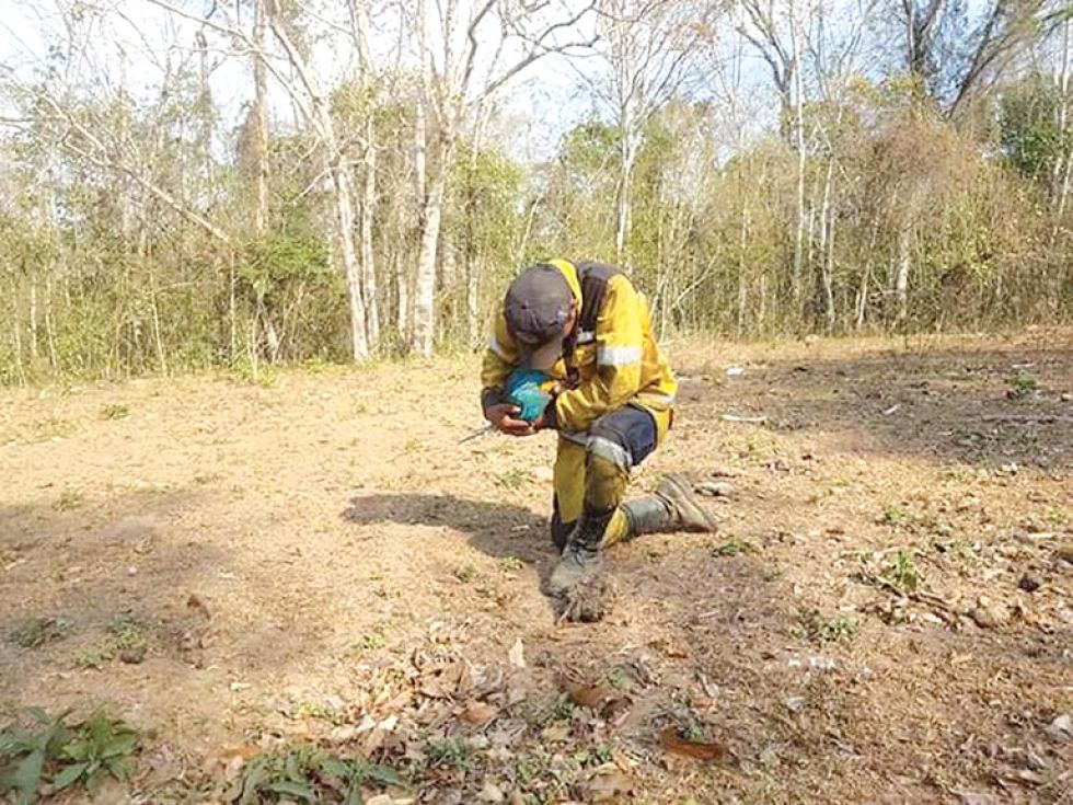 chiquitanía. Miles de voluntarios permanecen coadyuvando con las tareas de mitigación.