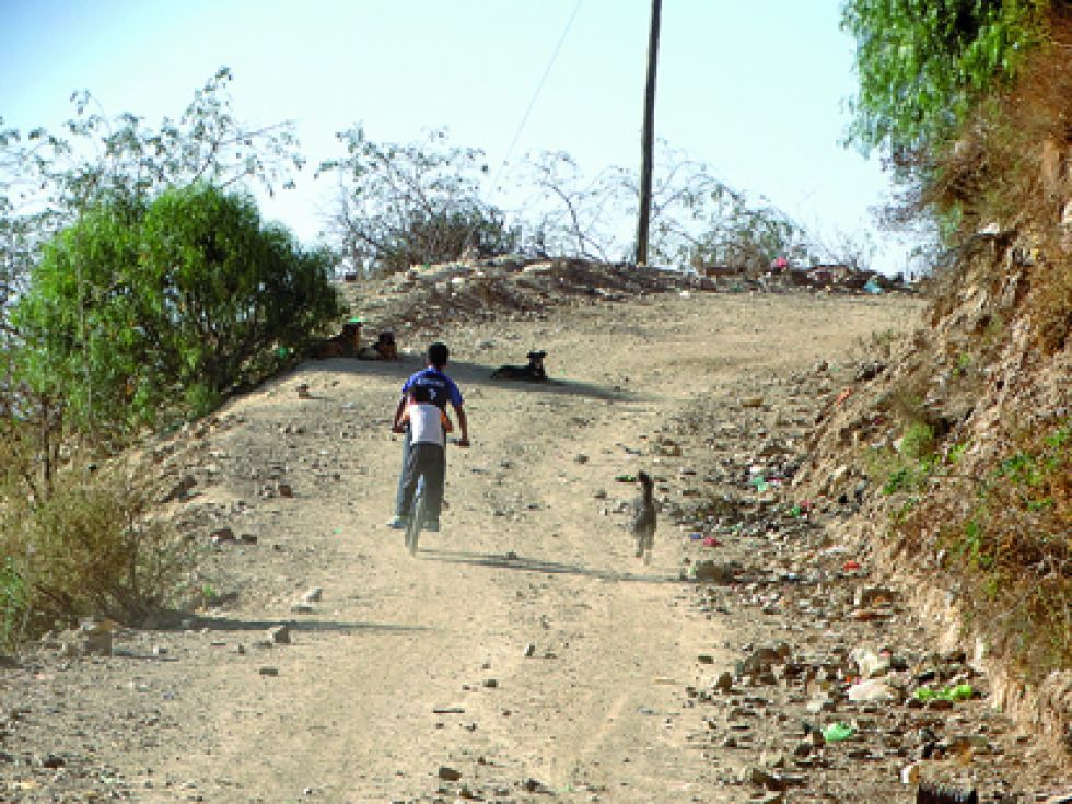 PELIGRO. Niños lidian a diario con el polvo y el riesgo de ser mordidos por perros.