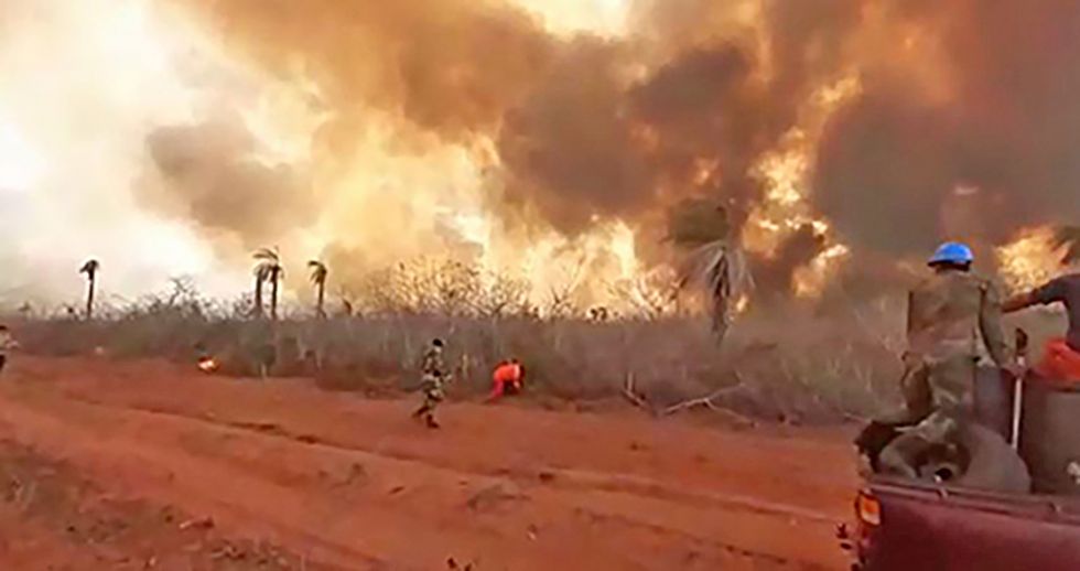 INCENDIOS. Una captura de la imagen que muestra el uso de la técnica del contrafuego en la Chiquitanía. 