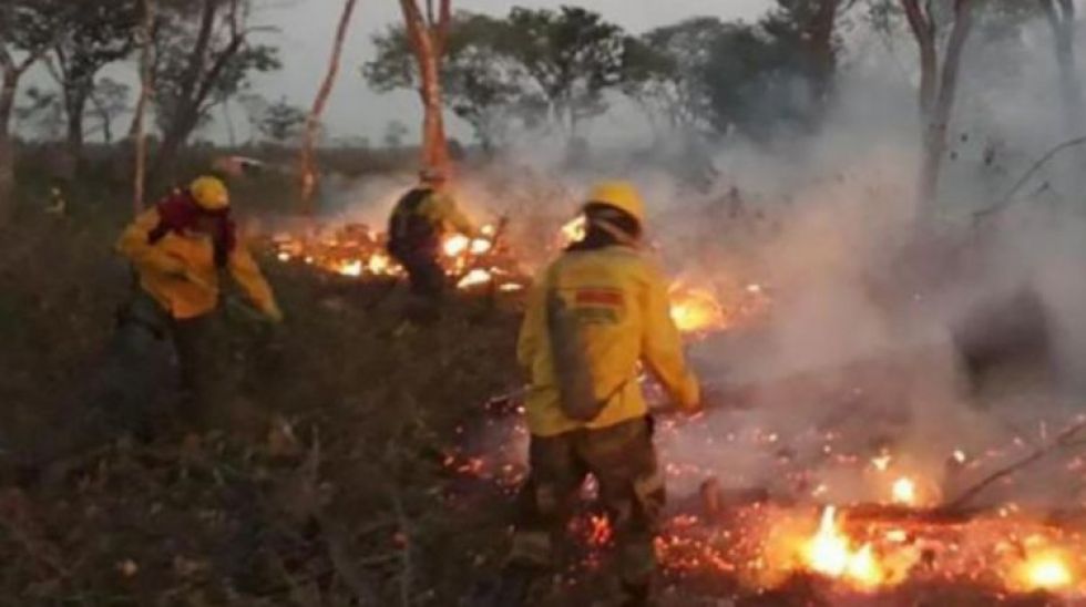 Bomberos voluntarios denuncian a colonos por supuestamente reactivar incendios.