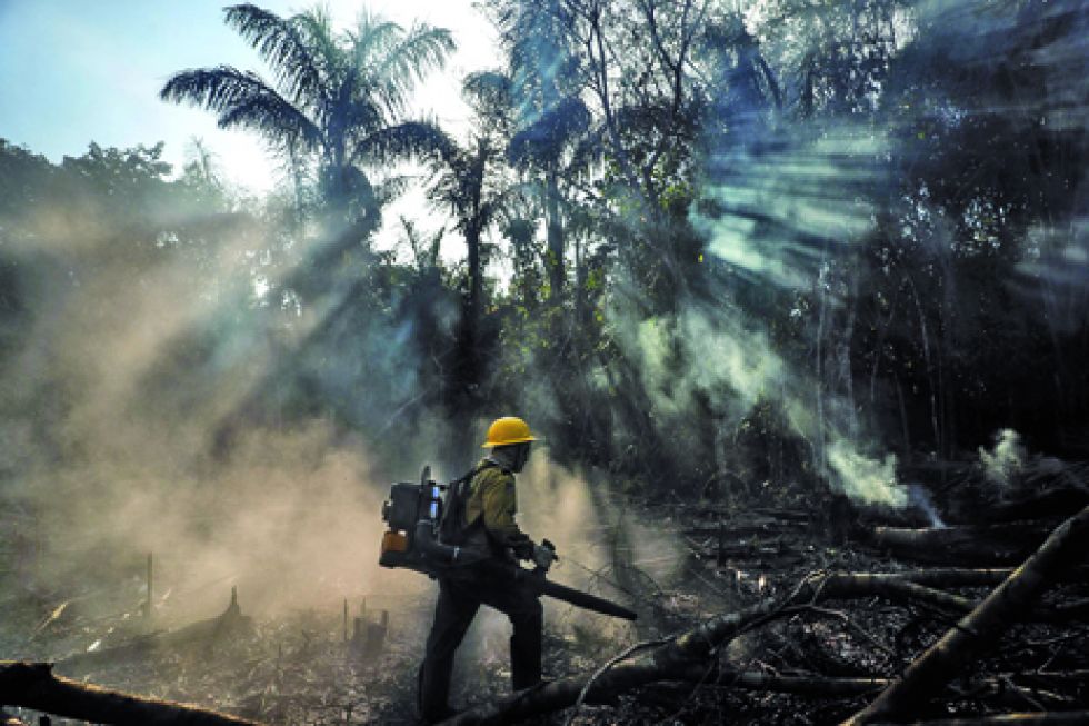 AMAZONAS. El intenso trabajo de los bomberos indígenas de la etnia Tenharim.