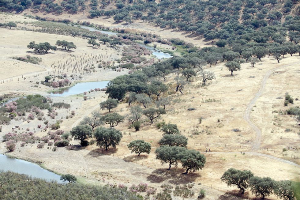 SEQUÍAS. Vista de un río en la frontera natural entre España y Portugal. Los ecosistemas sufren los efectos del cambio climático.