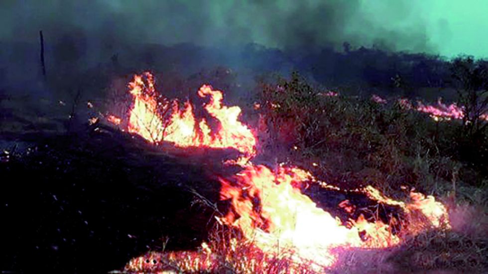 INCENDIOS. La preocupación por el fuego en la Chiquitanía y en otras partes del país persiste.