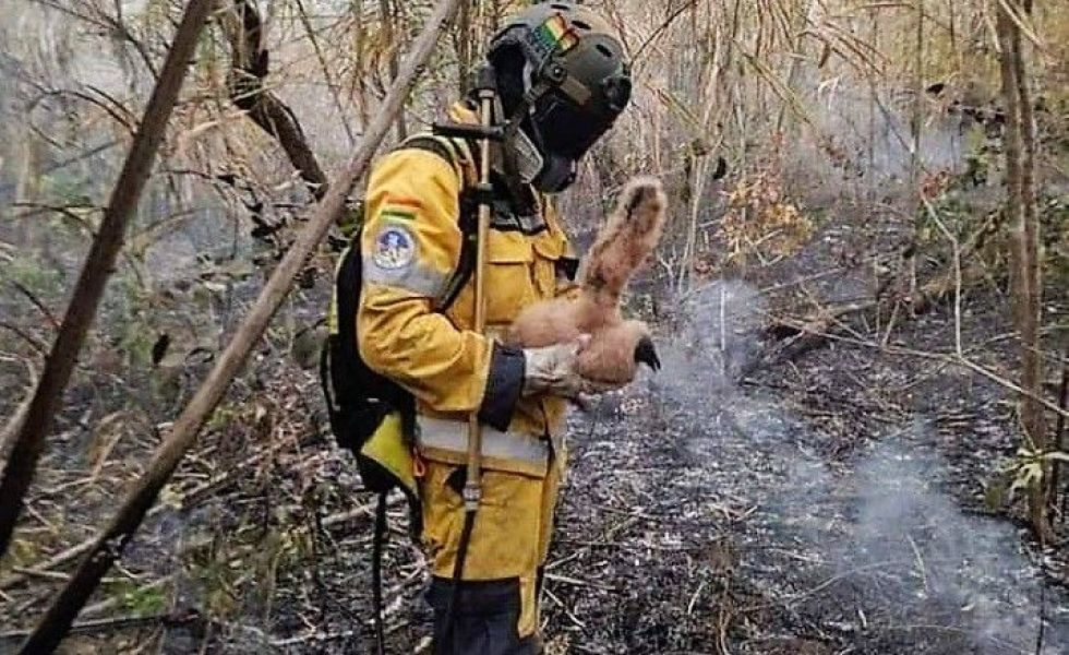 El bombero voluntario Ernesto Fanor Nina Mamani trabajó en los incendios de la Chiquitanía.
