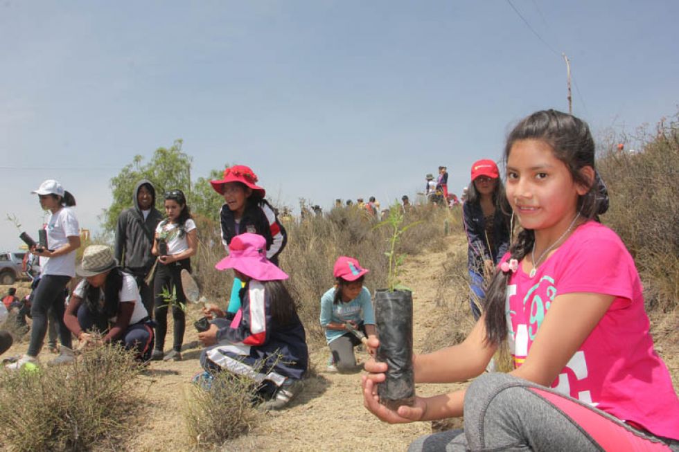 ACTIVIDAD. Cada primero de octubre se conmemora el Día del Árbol en Bolivia.