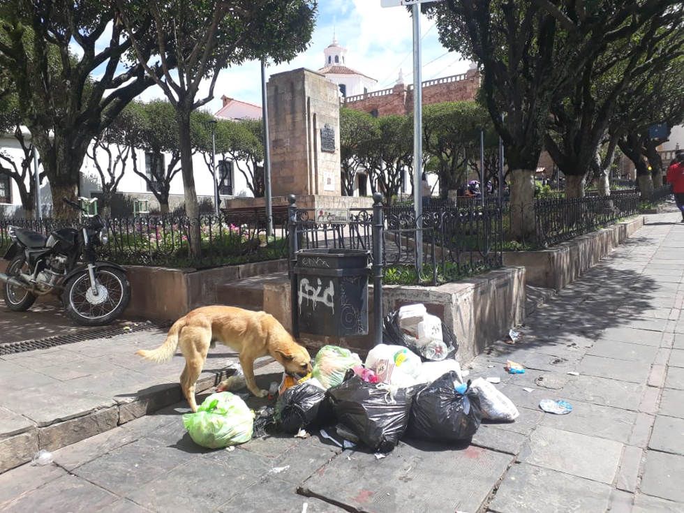 Varias calles están con basura.