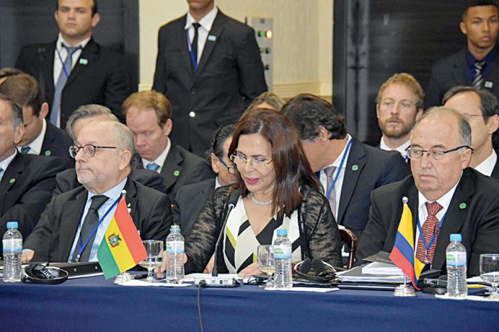 POSICIÓN. La canciller Karen Longaric, en la Cumbre del Mercosur que se celebra en Brasil.