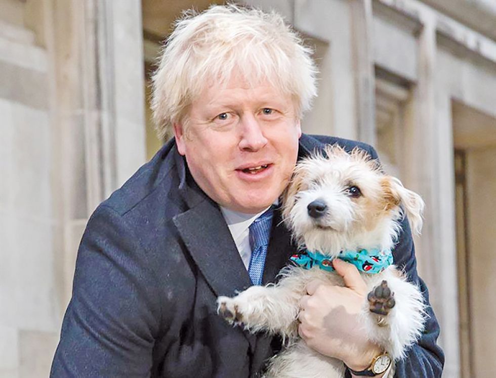 ELECCIONES. Boris Johnson acudió a un centro de votación con su mascota Dylan. El Primer Ministro celebró después una victoria contundente.