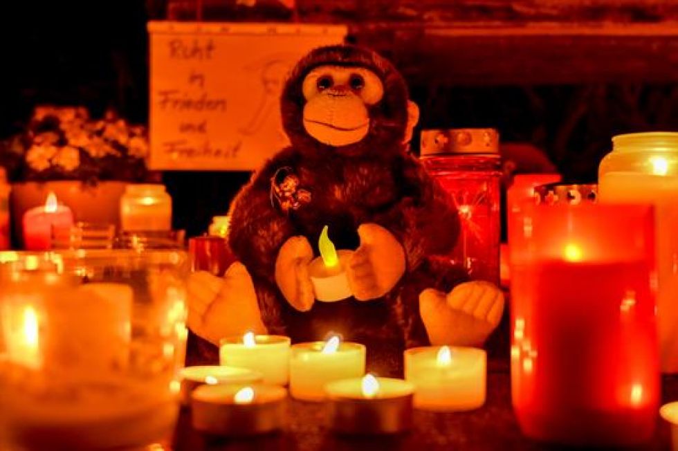 Velas y peluches fueron puestos en homenaje a los animales muertos en el incendio del zoológico alemán.