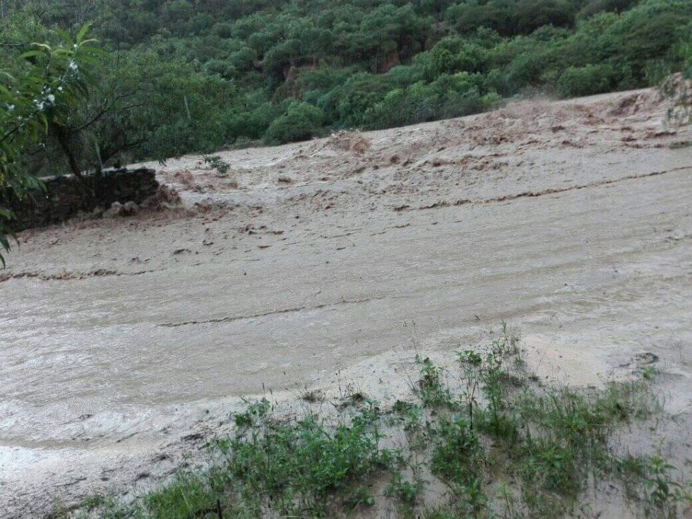 Una lluvia en la comunidad Torrecillas de Azurduy dejó daños en cultivos y terrenos de la zona.