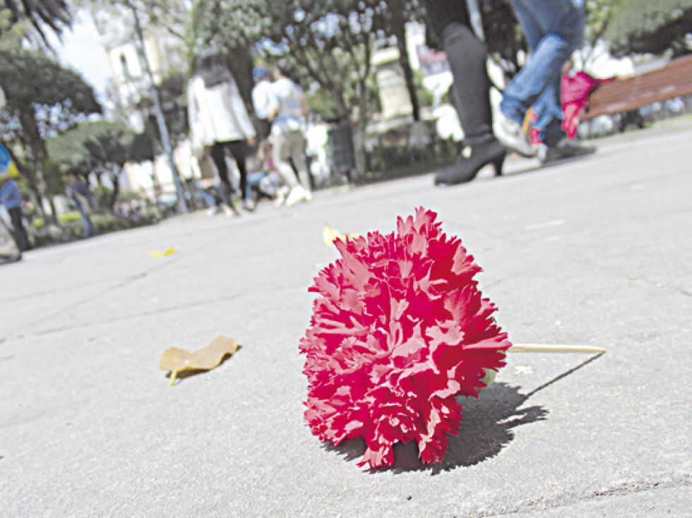 PREOCUPANTE. Con la muerte de Laura de 23 años, los feminicidios suman 16 en todo el país.