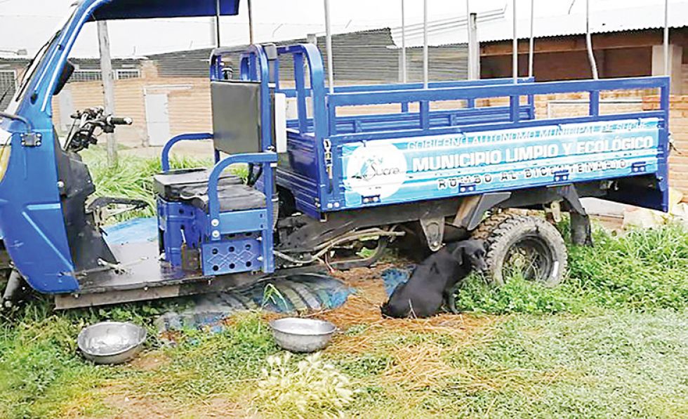 CANES. Hace días, Mallcu denunció a la Alcaldía que encontró al menos siete perros fuera de caniles, mojados y sin refugio. Y animales a la espera de ser adoptados o ser rescatados