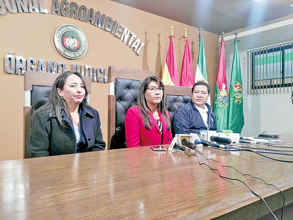 ANUNCIO. La presidenta y dos magistrados anunciaron el tratamiento de la ley en Diputados.