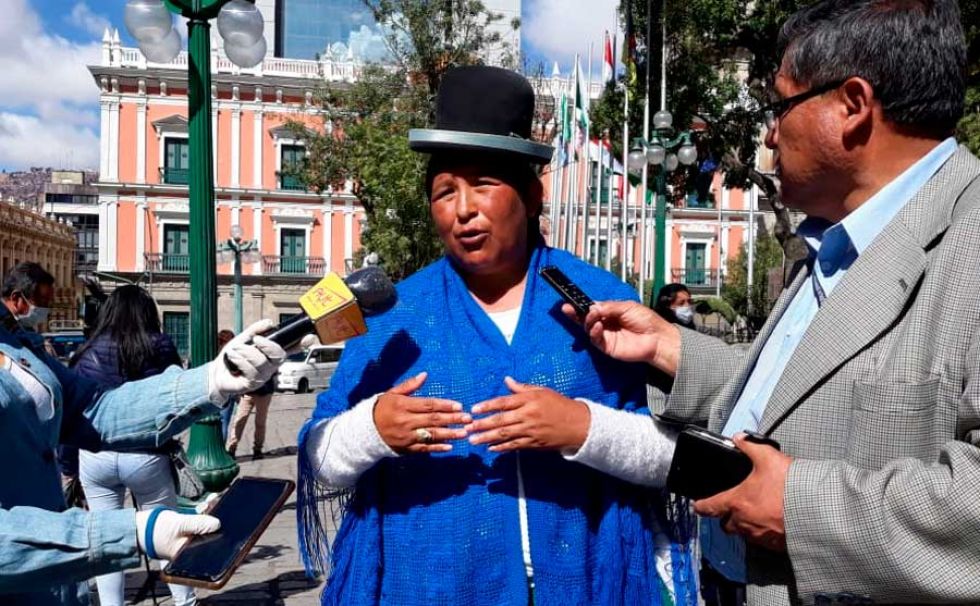 La diputada del MAS, Concepción Ortiz, en unas declaraciones ante la prensa este miércoles.