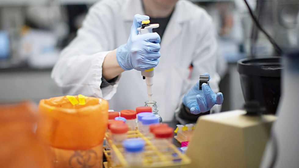TESTS. Una imagen que se repite en laboratorios de varios países del mundo, en los que se combate denodadamente al virus de la pandemia.