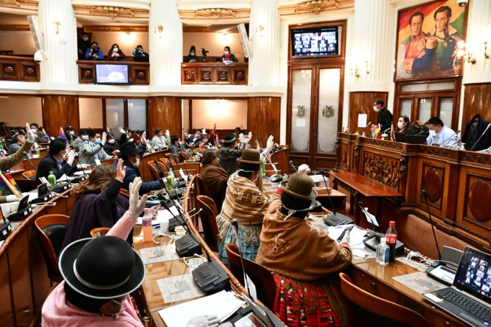 La Cámara de Diputados aprobó ayer el préstamo en una sesión virtual y presencial.